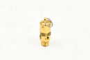Quincy-Safety-Valve-Replacement---2961-100