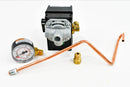 Ingersoll-Rand-Pressure-Switch-Replacement---56269517