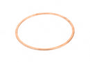 Joy Ring Gasket Replacement - 25BC487