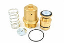 Kaeser Minimum Pressure Check Valve Overhaul Kit Replacement - 202127.20020