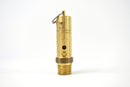 Sullair-Safety-Valve-Replacement-250006-938. Item is standing.
