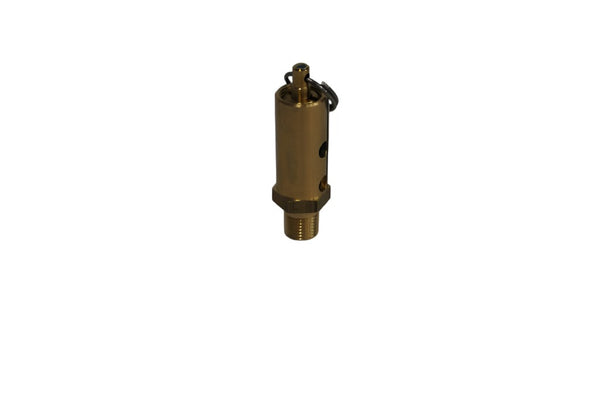 Ingersoll Rand Safety Valve Replacement - 39124888