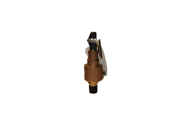 Ingersoll Rand Relief Valve Replacement - 38339230
