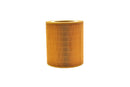 Eaton Air Filter Replacement - Filter010