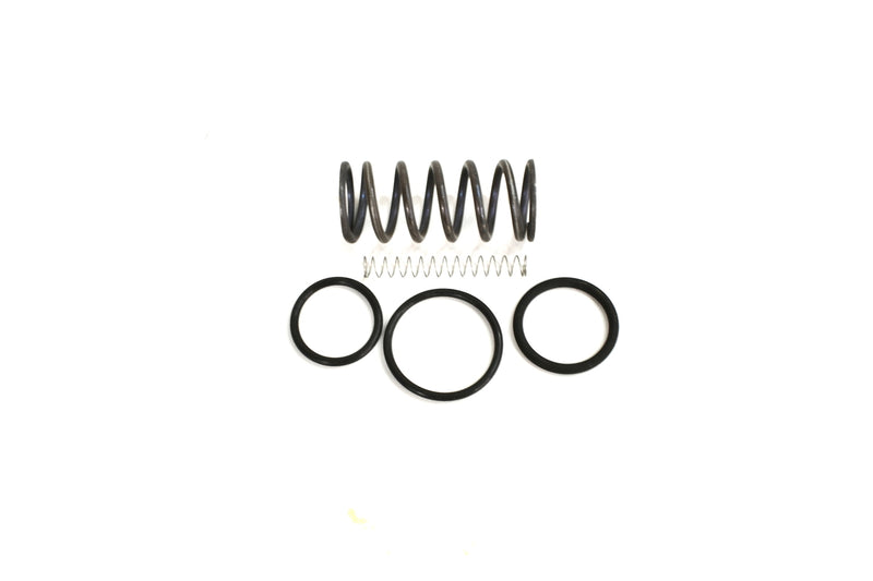 Springs and O-RIngs.