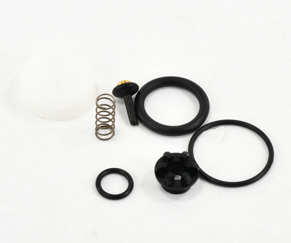Ingersoll-Rand-Diaphragm-Kit-Replacement-35379064-front.jpg