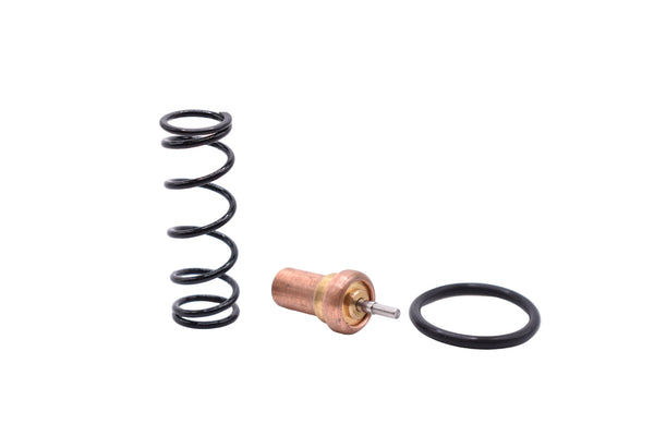 Quincy Thermostatic Valve Kit Replacement - 2013900701