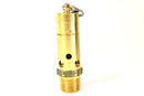 Atlas-Copco-Safety-Valve-Replacement---0830100518