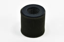 Champion-Air-Filter-Replacement---P05533A