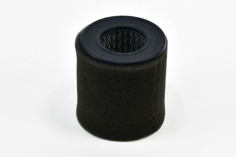 Champion-Air-Filter-Replacement---P05533A