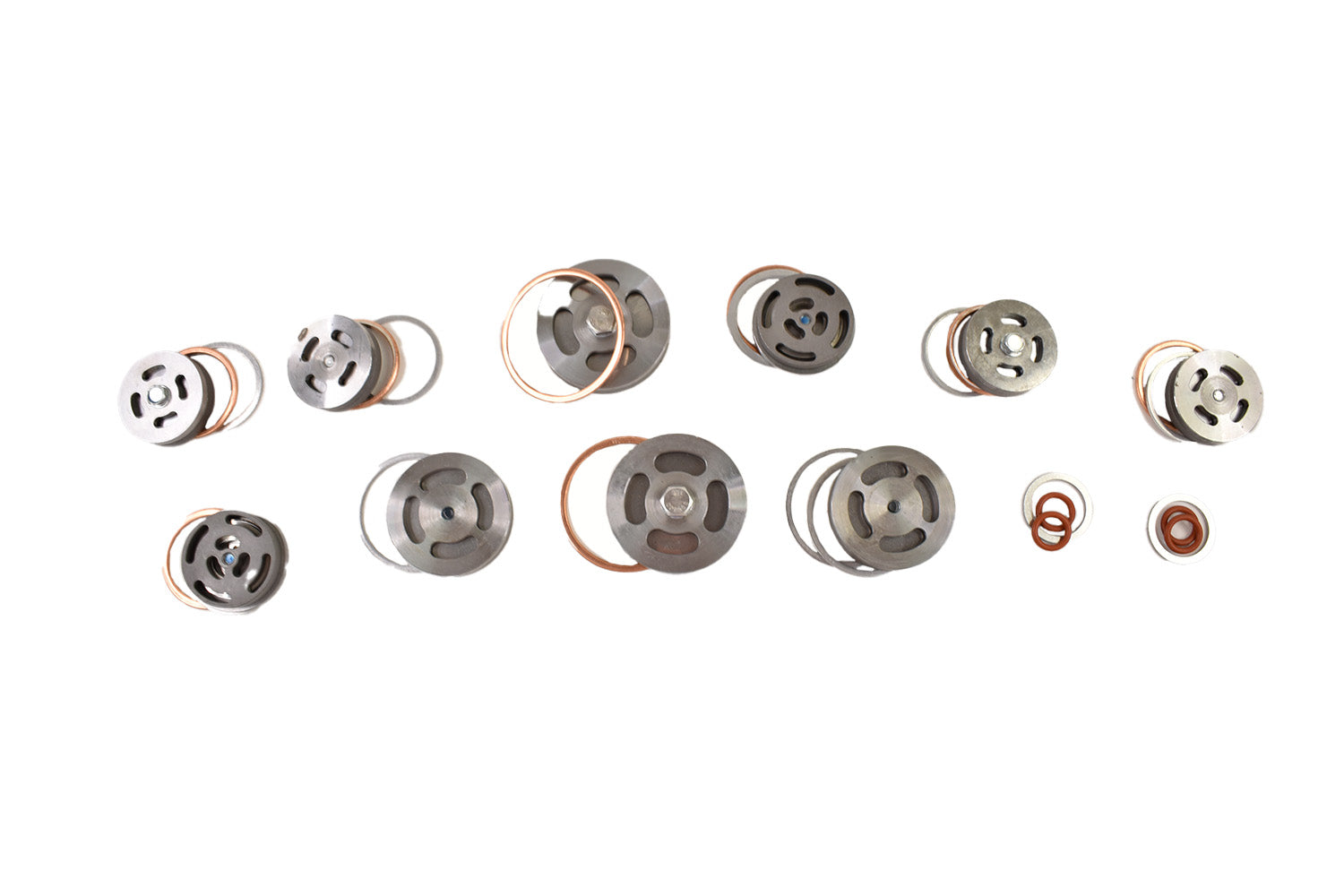 Champion Valve Set with Gaskets V5157