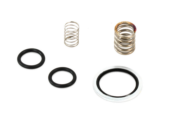 ELGi Minimum Pressure Check Valve Kit Replacement - A990288
