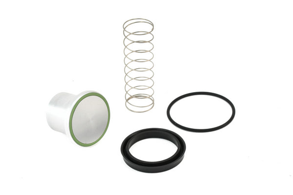 Quincy Minimum Pressure Check Valve Kit Replacement - 2013900408
