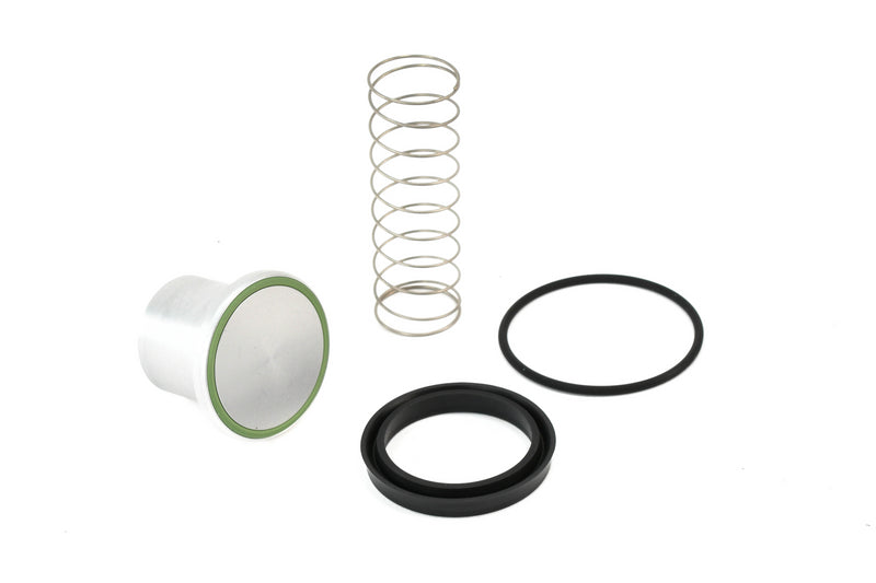 Quincy Minimum Pressure Check Valve Kit Replacement - 2013900408