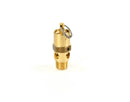 Champion-Safety-Valve-Replacement---M2843-front