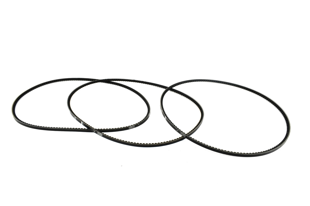 あ BELT eHRS9JuVcr9QowUhn9mQ6ZORdHj2WM