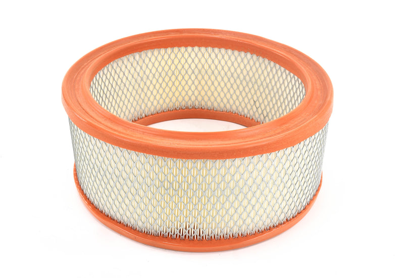 Mattei-Air-Filter-Replacement-CR21G30336-front.jpg