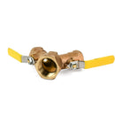 Ingersoll-Rand-Check-Valve-Replacement---36881076-front