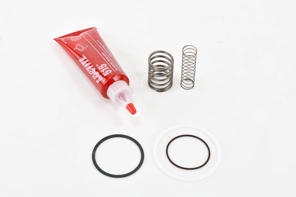 Gardner-Denver-Inlet-Valve-Repair-Kit-Replacement-302SSE6013-front.jpg