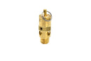 Ingersoll Rand Safety Valve Replacement - 72062185