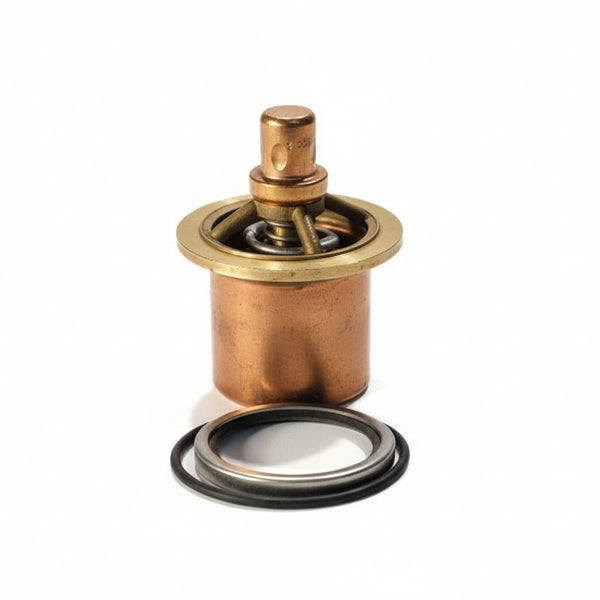Ingersoll Rand Thermostatic Element Replacement - 39437652