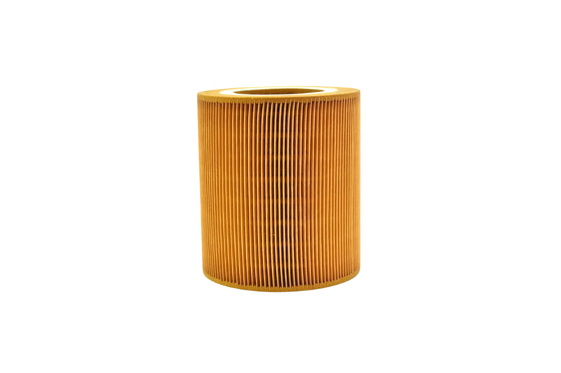 Eaton Air Filter Replacement - Filter010