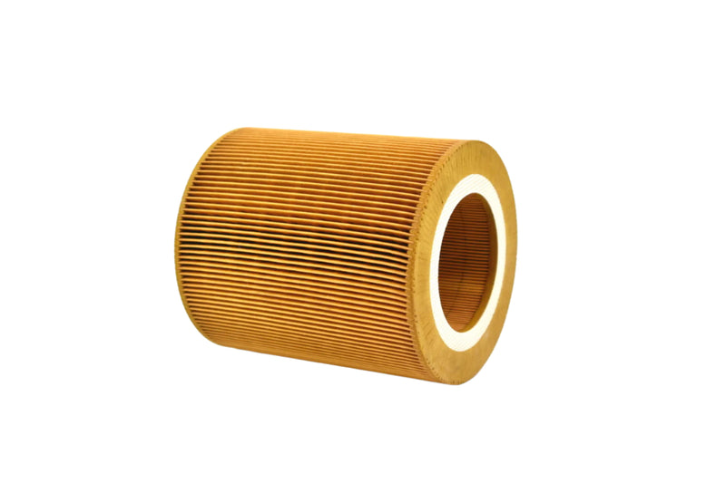 Fiac Air Filter Replacement - 7211450010