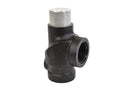Leroi Minimum Pressure Check Valve Replacement - 15-1953